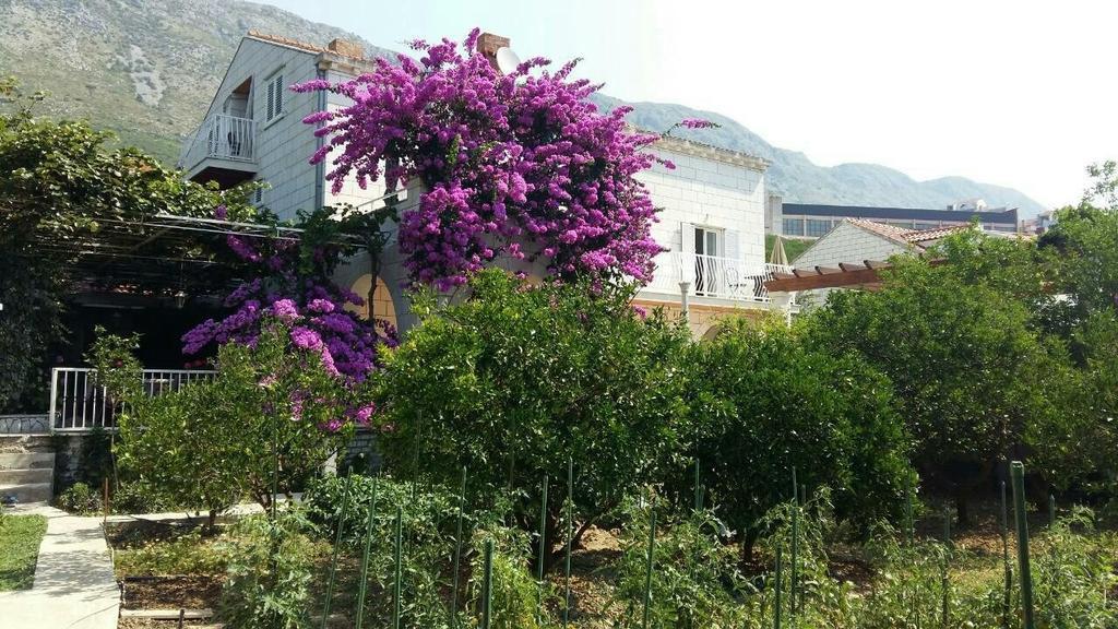 Apartments Husanovic Mokosica Luaran gambar