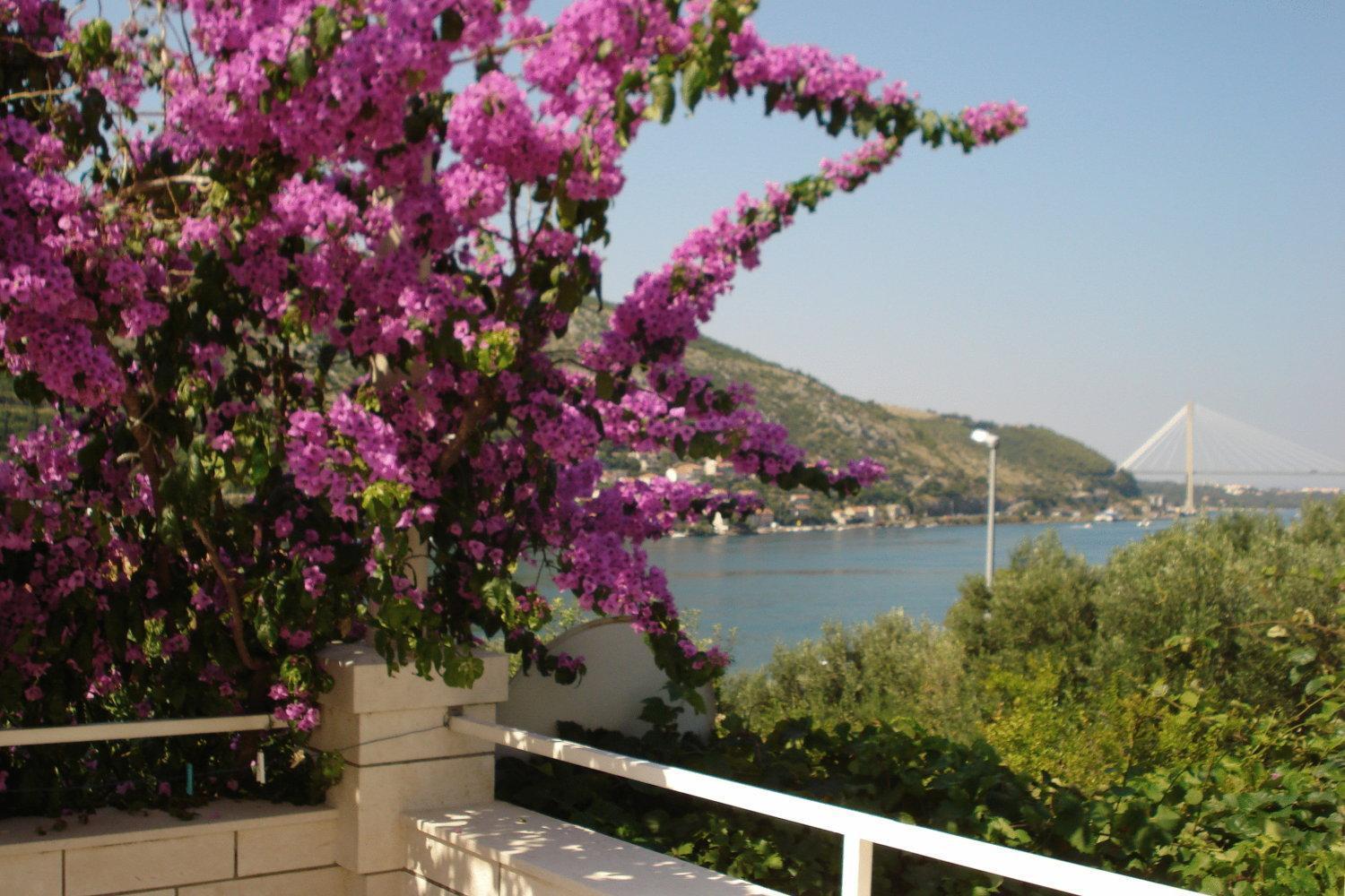 Apartments Husanovic Mokosica Luaran gambar