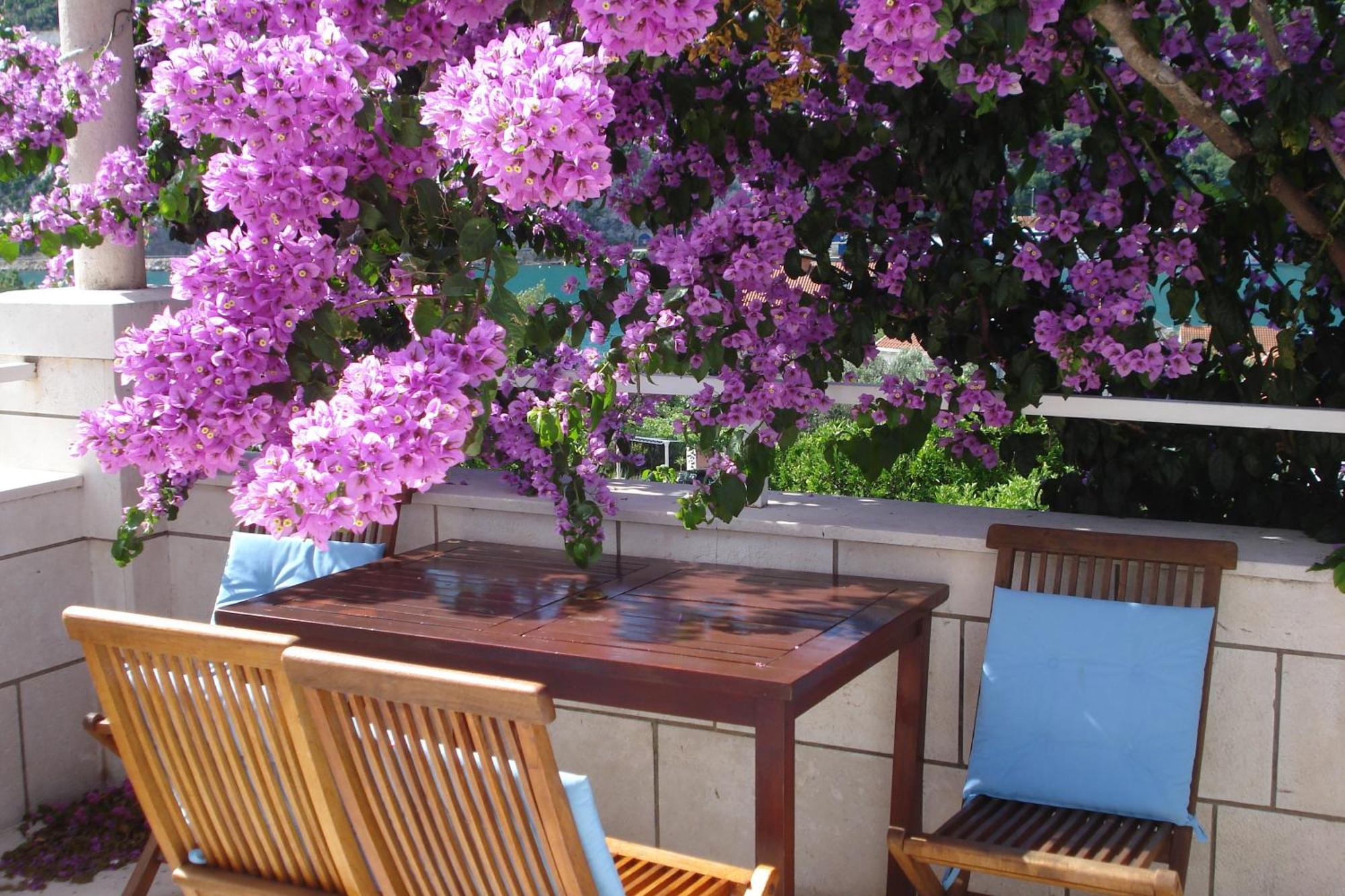 Apartments Husanovic Mokosica Luaran gambar