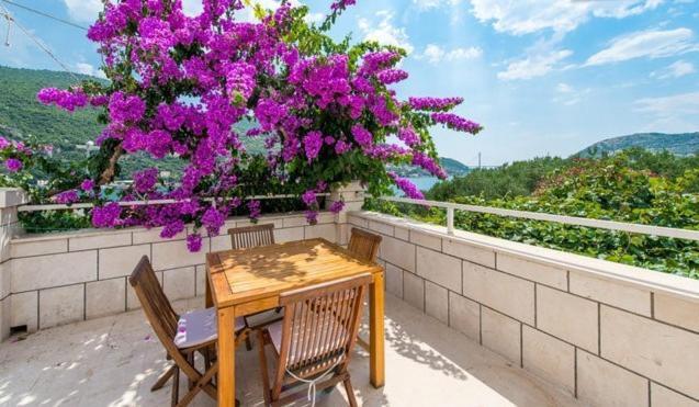 Apartments Husanovic Mokosica Bilik gambar