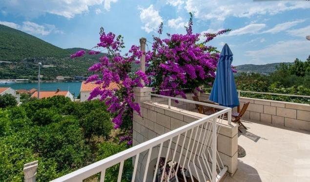 Apartments Husanovic Mokosica Bilik gambar
